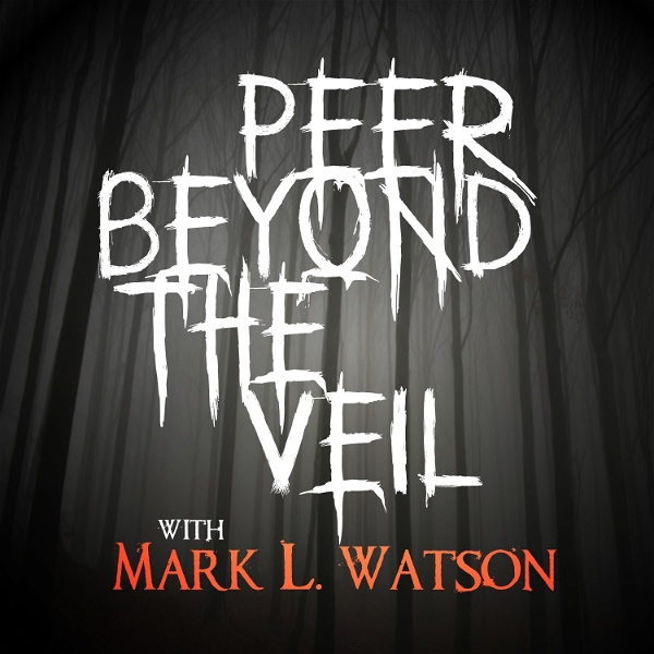 Artwork for Peer Beyond The Veil