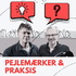Pejlemærker og praksis