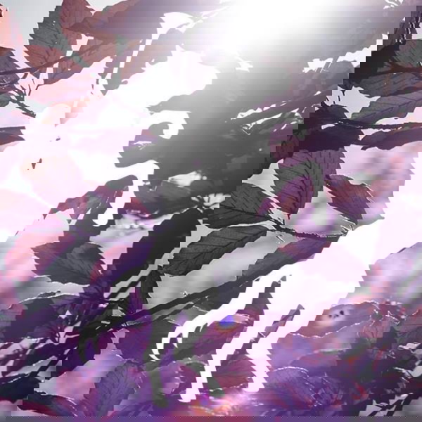 Artwork for Peninsula Revival