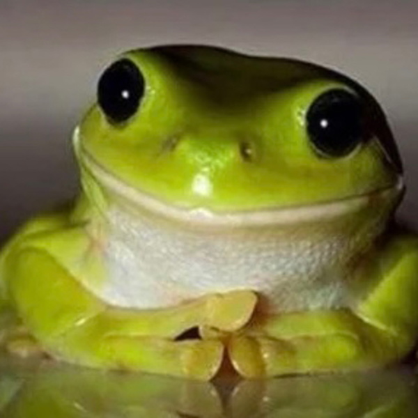 Artwork for pepsy wetenschappers