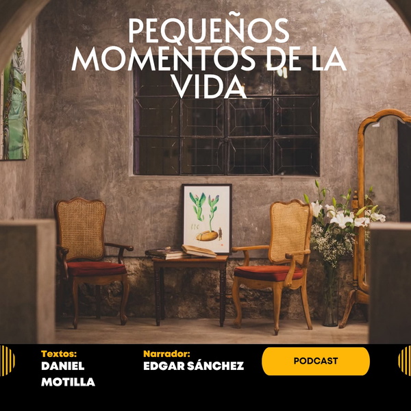 Artwork for Pequeños momentos de la vida