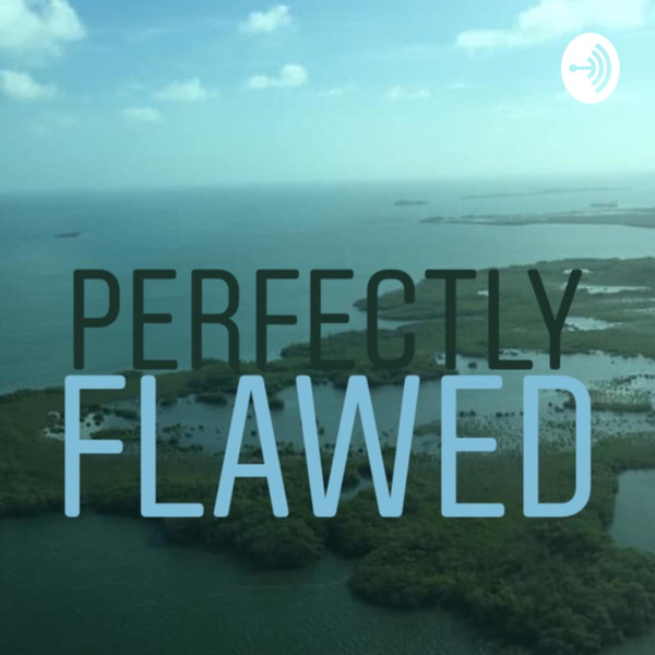Artwork for Perfectly Flawed