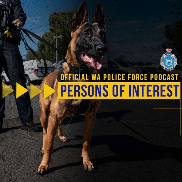 Artwork for Persons of Interest