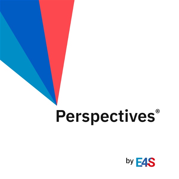 Artwork for Perspectives by E4S