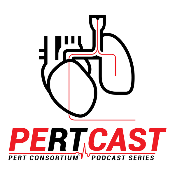 Artwork for PERTcast