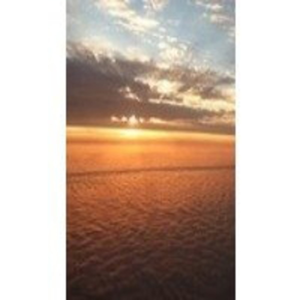 Artwork for PeruPodCast