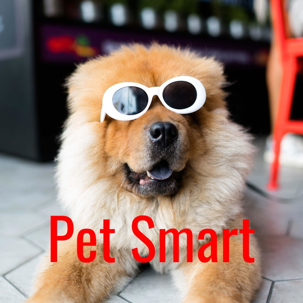 Artwork for Pet Smart
