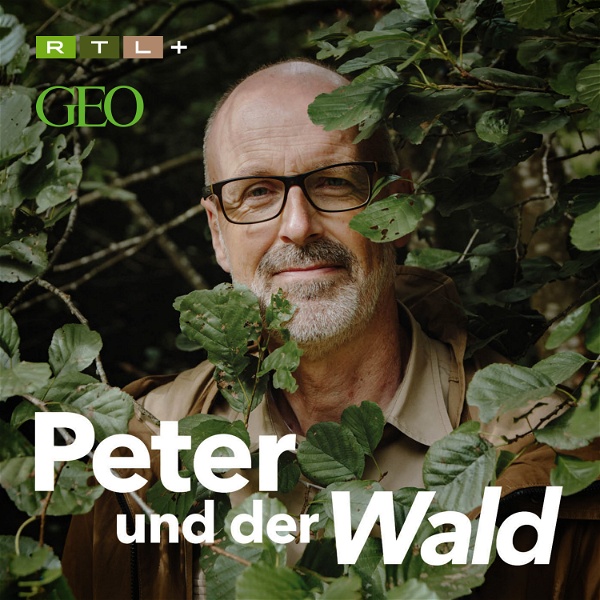 Artwork for Peter und der Wald – ein GEO-Podcast