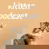 Pets at Home Kitten Podcast