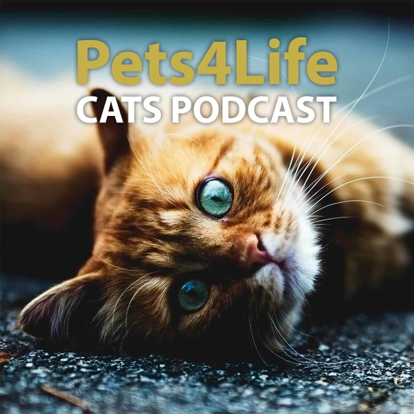 Artwork for Pets4Life Cats