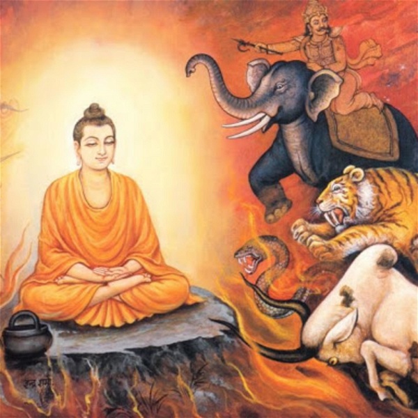 Artwork for Pháp Âm Phật Giáo