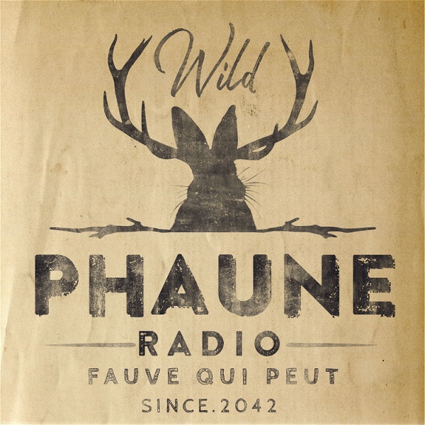 Artwork for Phaune Radio Podcast