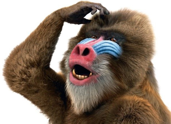 Artwork for Photoshop Elements Tutorials