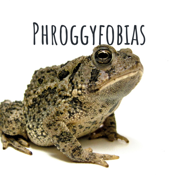Artwork for Phroggyfobias