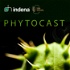 Phytocast - Italiano