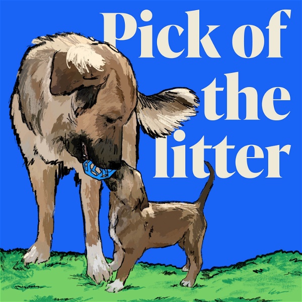 Artwork for Pick of the Litter Podcast