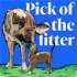 Pick of the Litter Podcast