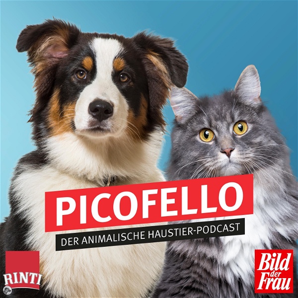 Artwork for Picofello – der animalische Haustier-Podcast