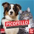 Picofello – der animalische Haustier-Podcast