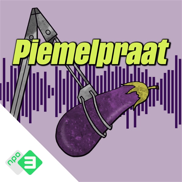Artwork for Piemelpraat