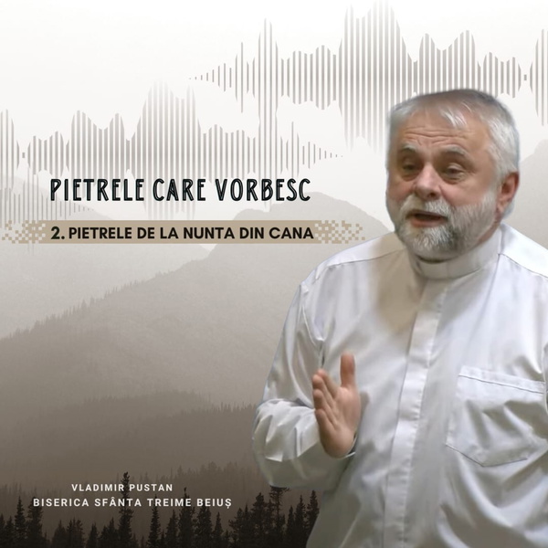 Artwork for Pietrele care vorbesc