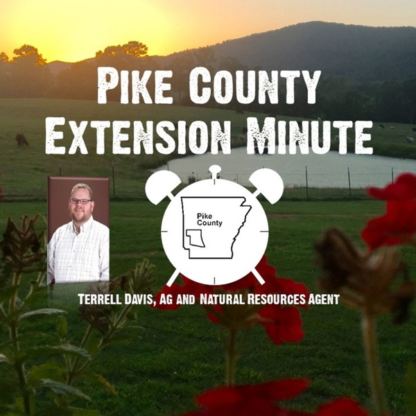 Artwork for Pike Co Extension Minute