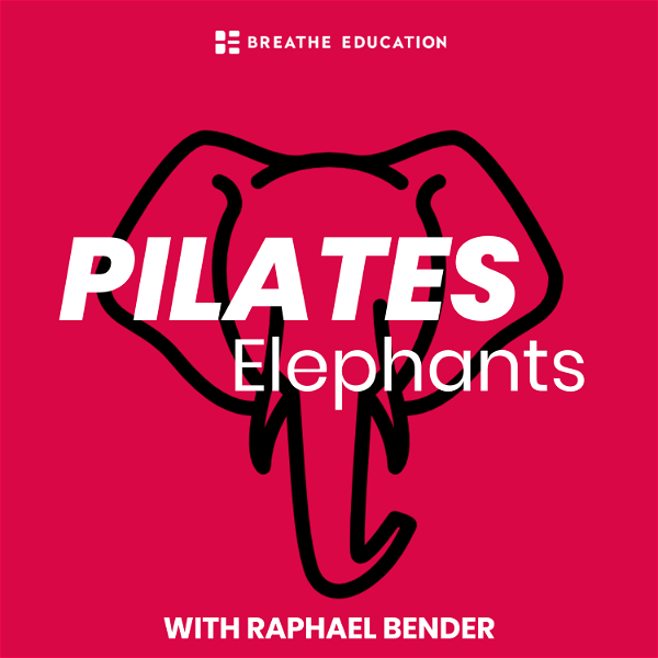 Artwork for Pilates Elephants