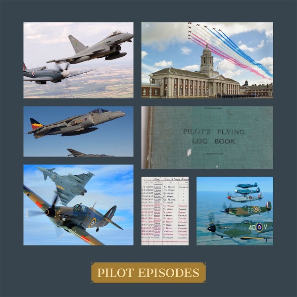 Artwork for Pilot Episodes