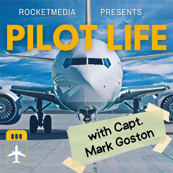Artwork for Pilot Life Podcast