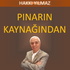 PINARIN KAYNAĞINDAN
