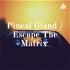 Pineal Gland / Escape The Matrix