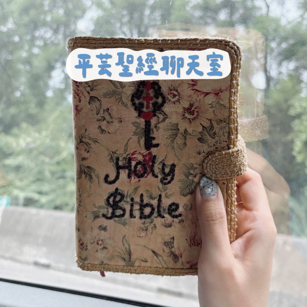 Artwork for 平芸聖經聊天室