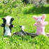 Pinkie The Pig Podcast