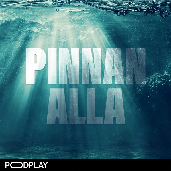 Artwork for Pinnan alla
