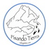 Pisando Tierra