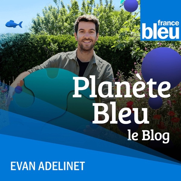 Artwork for Planète Bleu, le blog