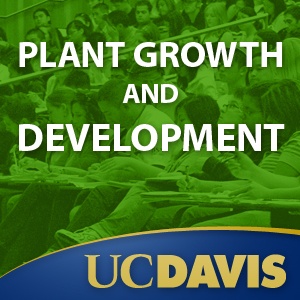 Artwork for Plant Growth and Development, Winter 2009