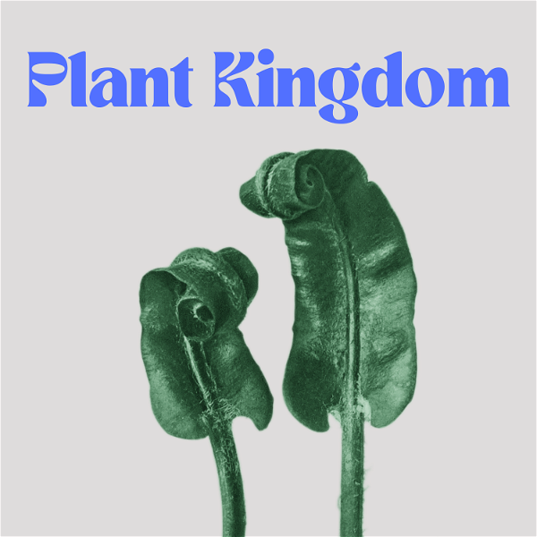 Artwork for Plant Kingdom