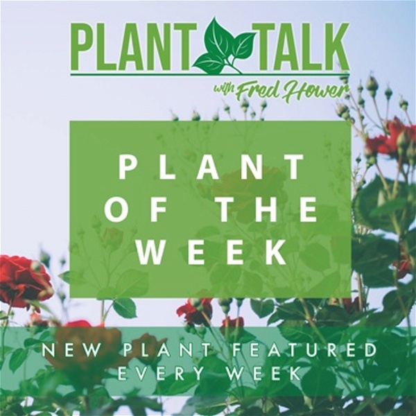 Artwork for Plant Of The Week