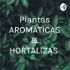 Plantas AROMÁTICAS & HORTALIZAS
