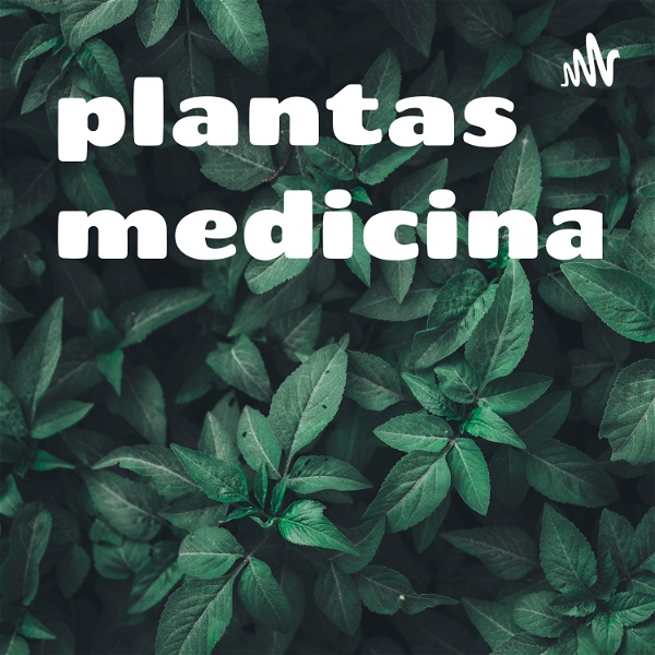 Artwork for plantas medicinales