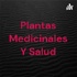 Plantas Medicinales Y Salud