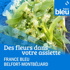 Les plantes franc-comtoises, de la cueillette à l'assiette - France Bleu Belfort Montbéliard
