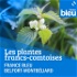 Les plantes franc-comtoises, de la cueillette à l'assiette - France Bleu Belfort Montbéliard