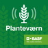 Planteværn