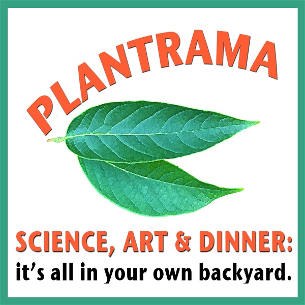 Artwork for Plantrama