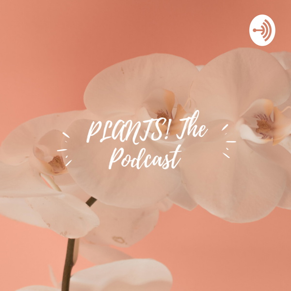 Artwork for PLANTS! The Podcast