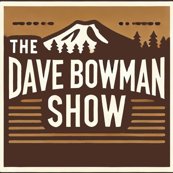 Artwork for Plausibly Live