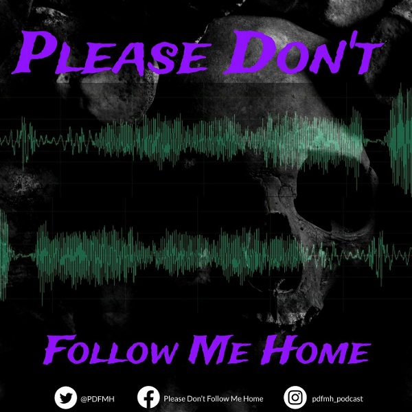 Artwork for Please Don't Follow Me Home