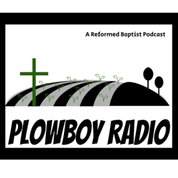 Artwork for PlowBoy Radio Podcast